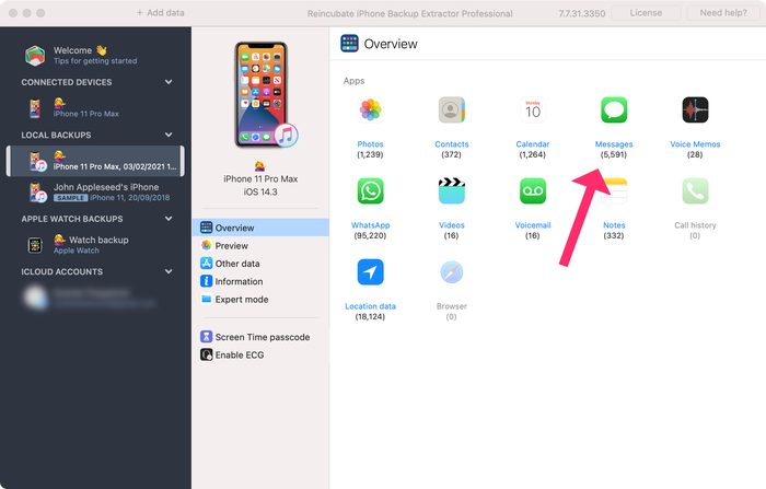 iPhone Backup Extractor in Overview mode