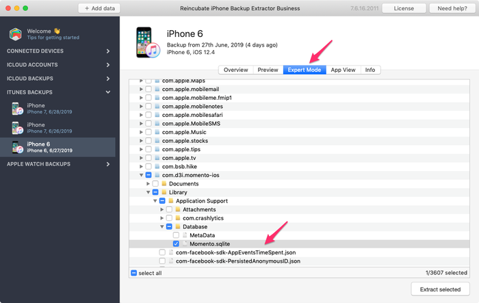 Modo experto de iPhone Backup Extractor