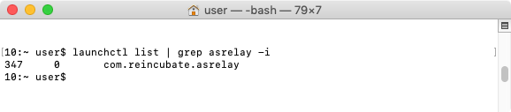 launchctl de Reincubate Relay dans le Terminal