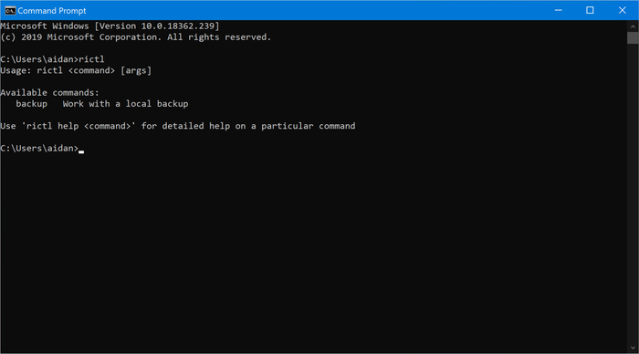 Windows 명령 프롬프트에 표시된 rictl