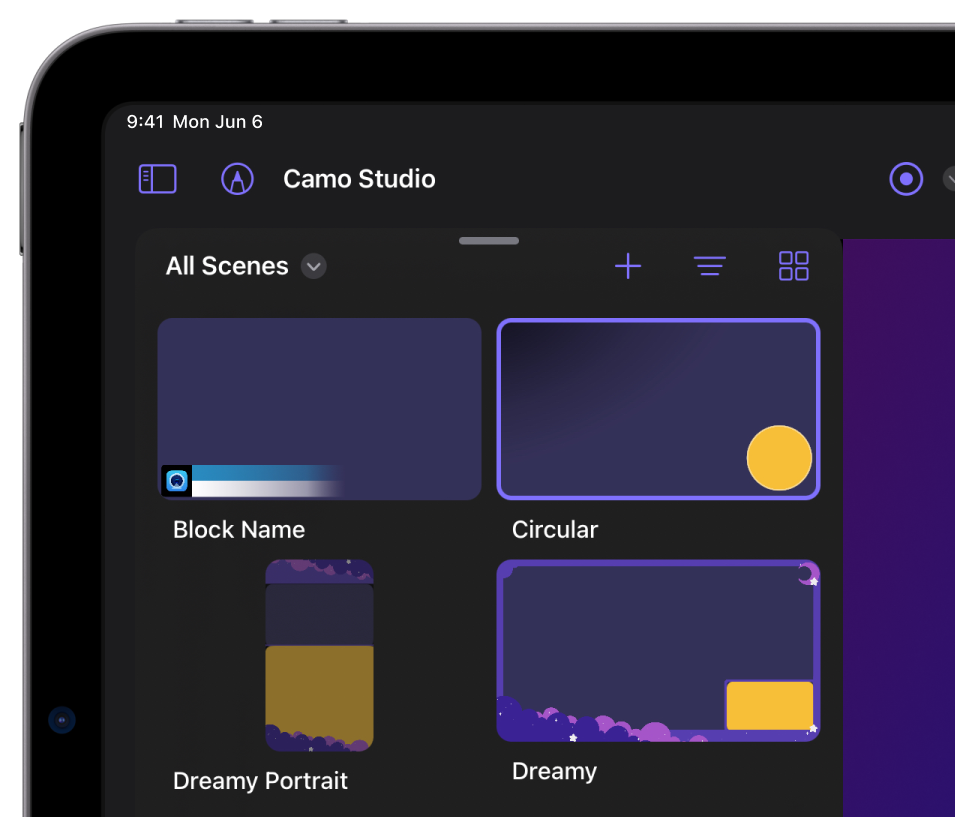 Overview of scenes in Camo Studio for iPad